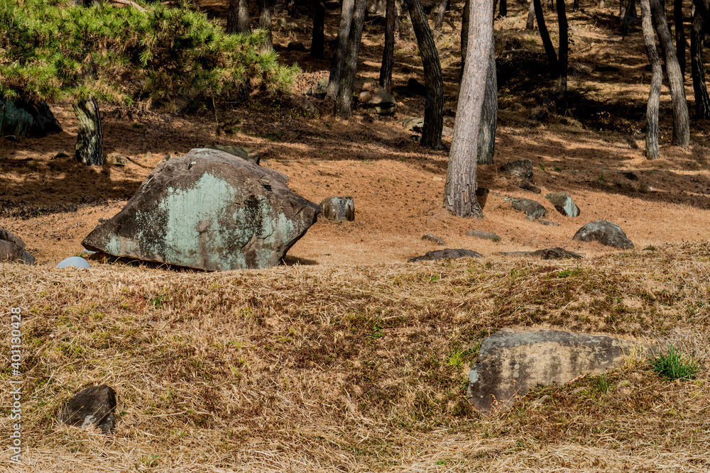 Capstone on dolmen burial chamber in neolithic park. Capstone on dolmen burial chamber in neolithic park.