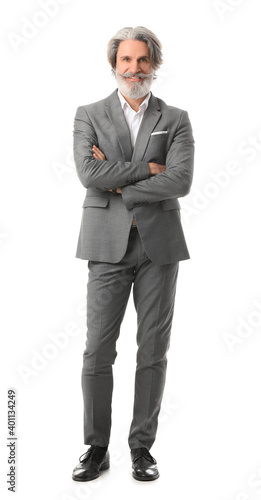 Portrait of senior business...