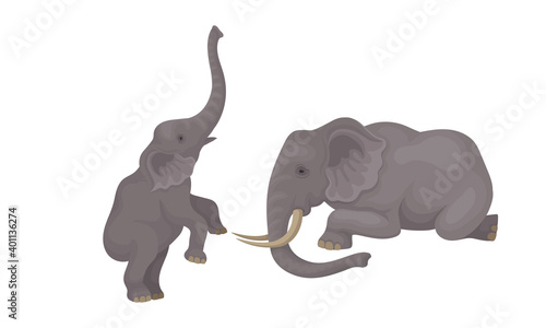African Elephant with Grey Skin and Trunk in Different Poses Vector Set
