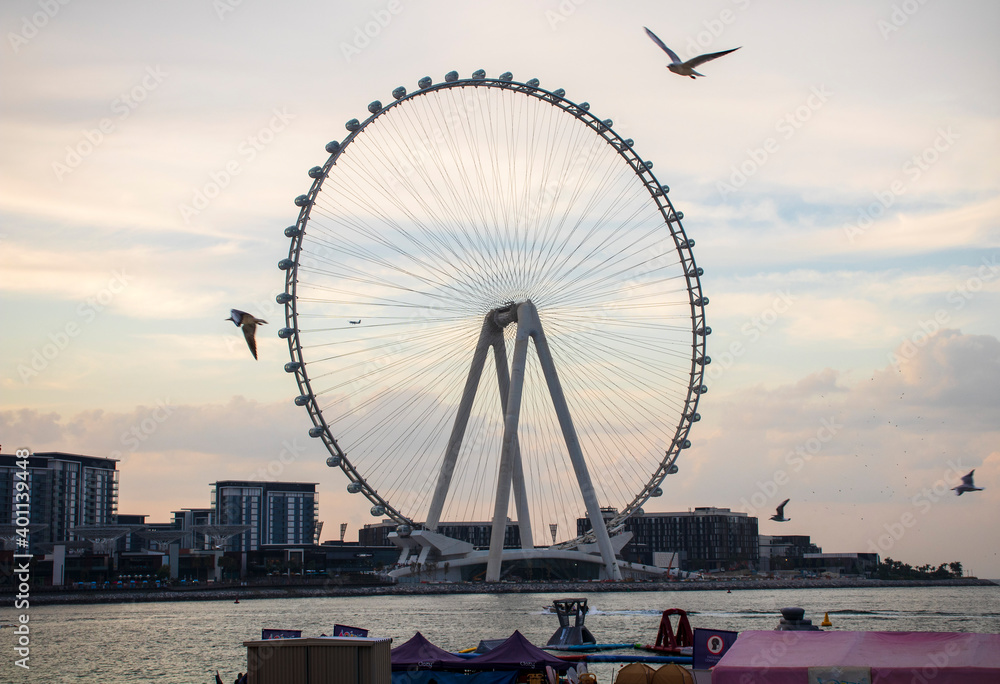 Tallest ferris wheel in the world Ain Dubai, located in Blue waters by Meraas in Dubai, UAE Outdoors