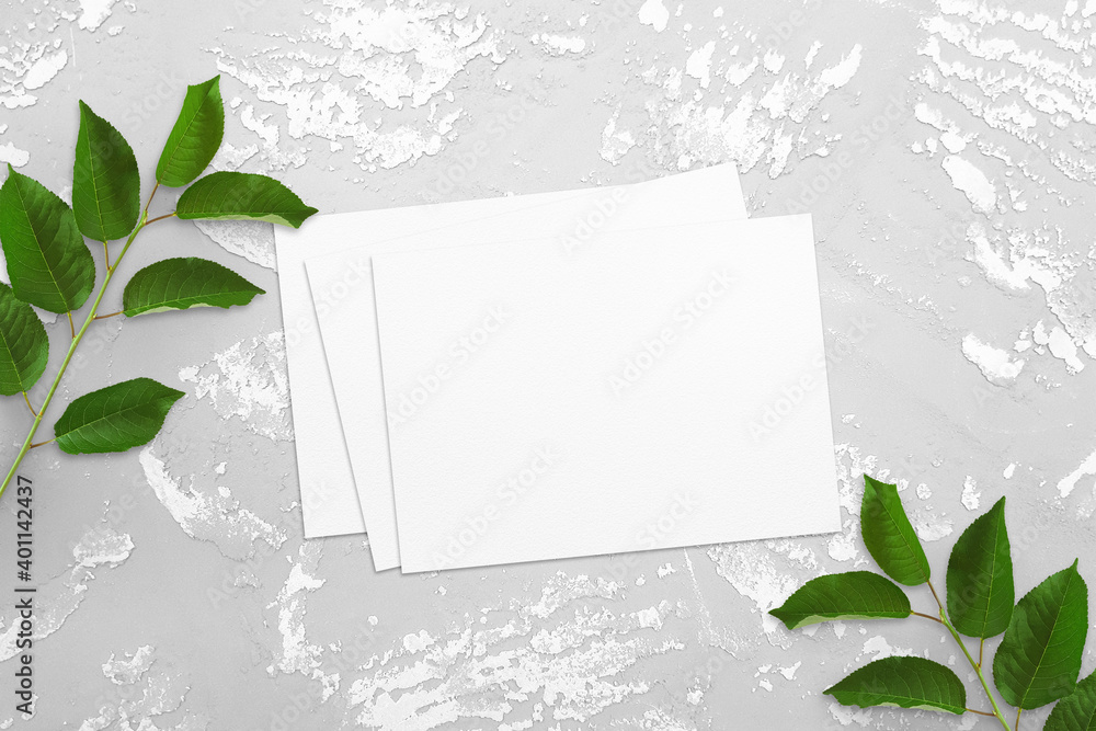 Two tree branches with green leaves, watercolor sheet of paper on a white concrete table. Old white and gray concrete background. Advertising mockup for your design. Flat lay, top view, copy space