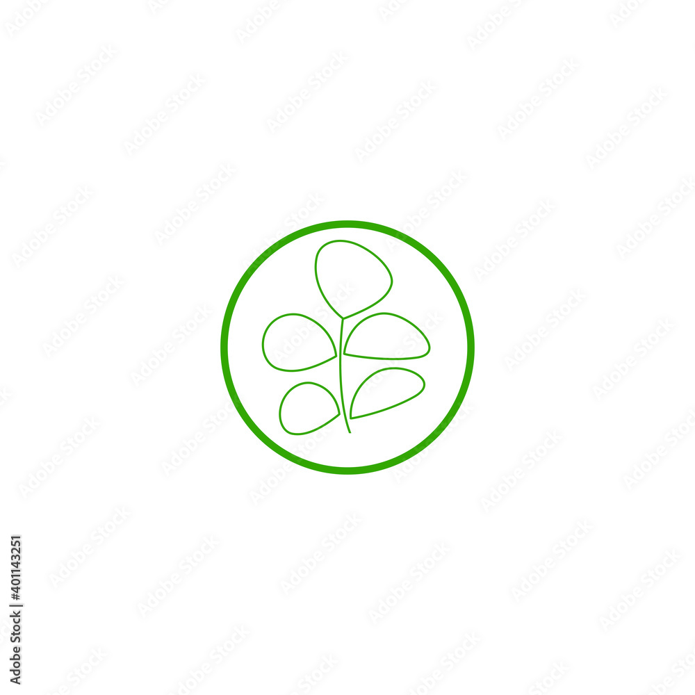 Moringa leaf Logo Template vector Moringa leaf Logo Template vector