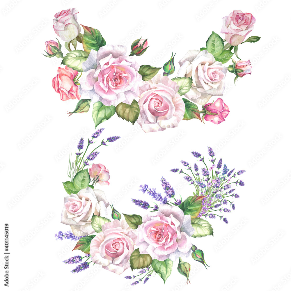 set of roses illustrations