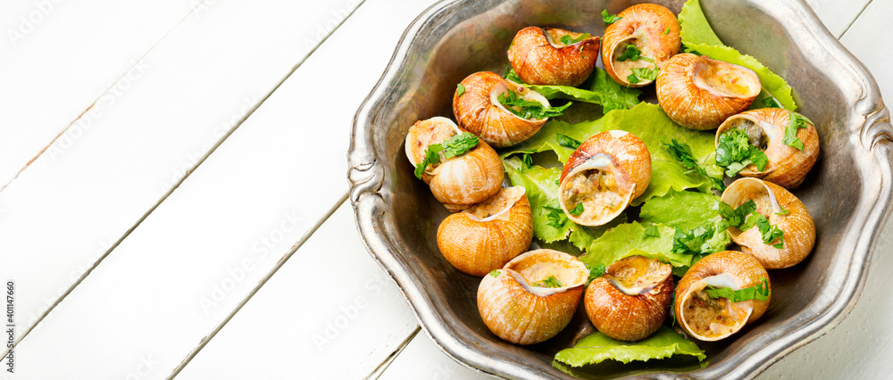 Bourgogne escargot snails Bourgogne escargot snails