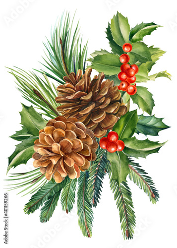 Composition of pine cones, holly, spruce branches, watercolor drawing, postcard