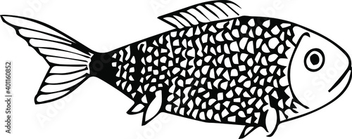 One fish. Fish drawing. Ocean dweller.