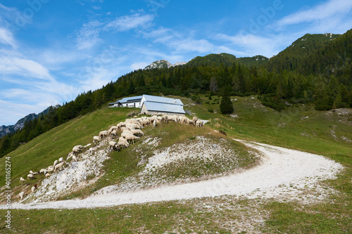 Auf dem Sella di Somdogna Pass in Italien photo