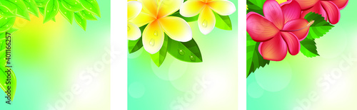 Set with different frame with tropical leaves and flowers