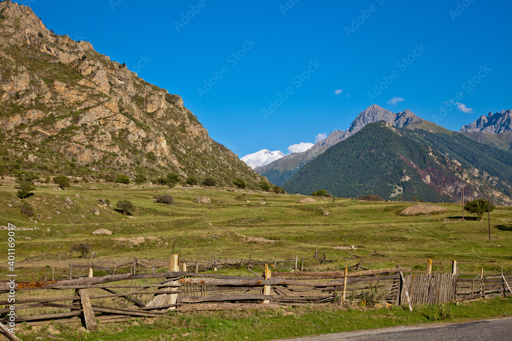 Mountain landscape at noon. Beautiful mountain landscape with trees at the foot of the ridge. The concept of the development of nature and sustainable development. Place of text