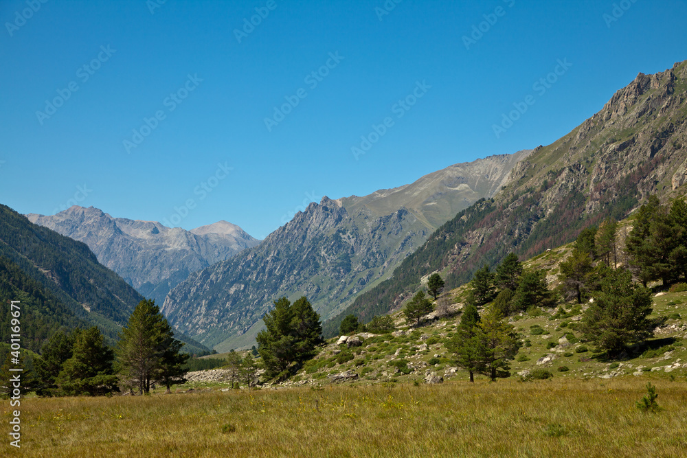 Mountain landscape at noon. Beautiful mountain landscape with trees at the foot of the ridge. The concept of the development of nature and sustainable development. Place of text