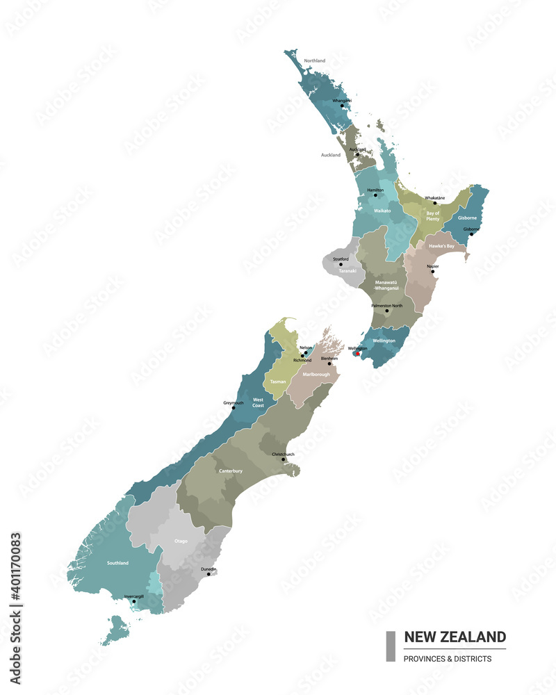 vektorov-grafika-new-zealand-higt-detailed-map-with-subdivisions