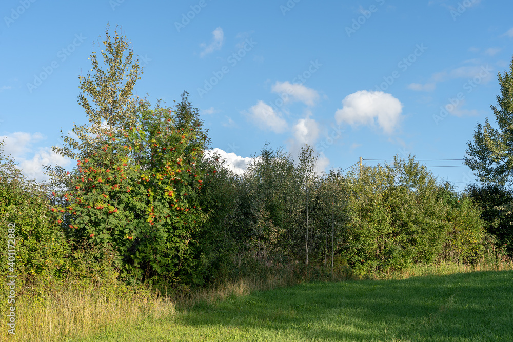 edge zone of a field