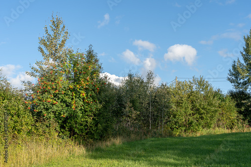 edge zone of a field