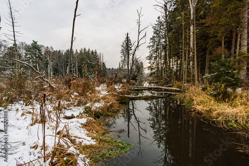 Snow-covered winter landscape in the Pfrunger Ried near Ostrach photo