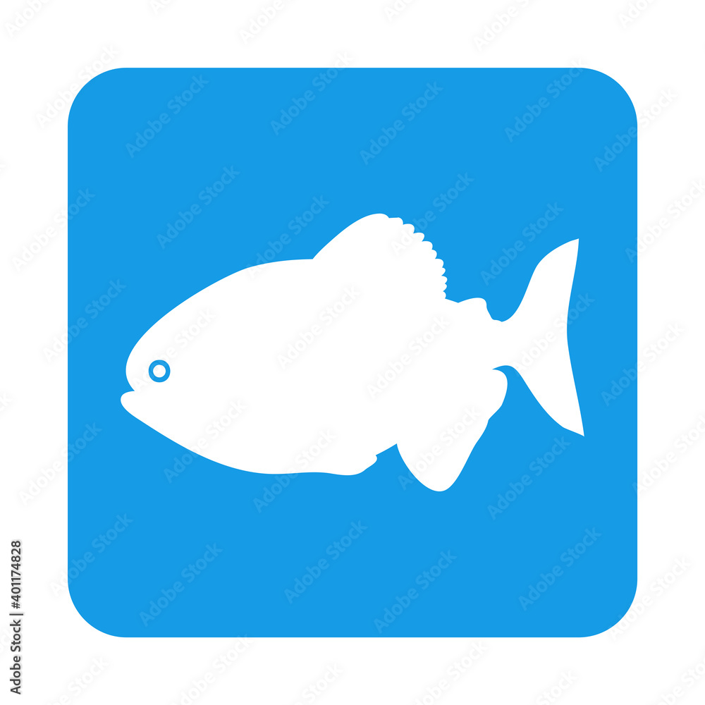 Icono silueta pez piraña en cuadrado color azul