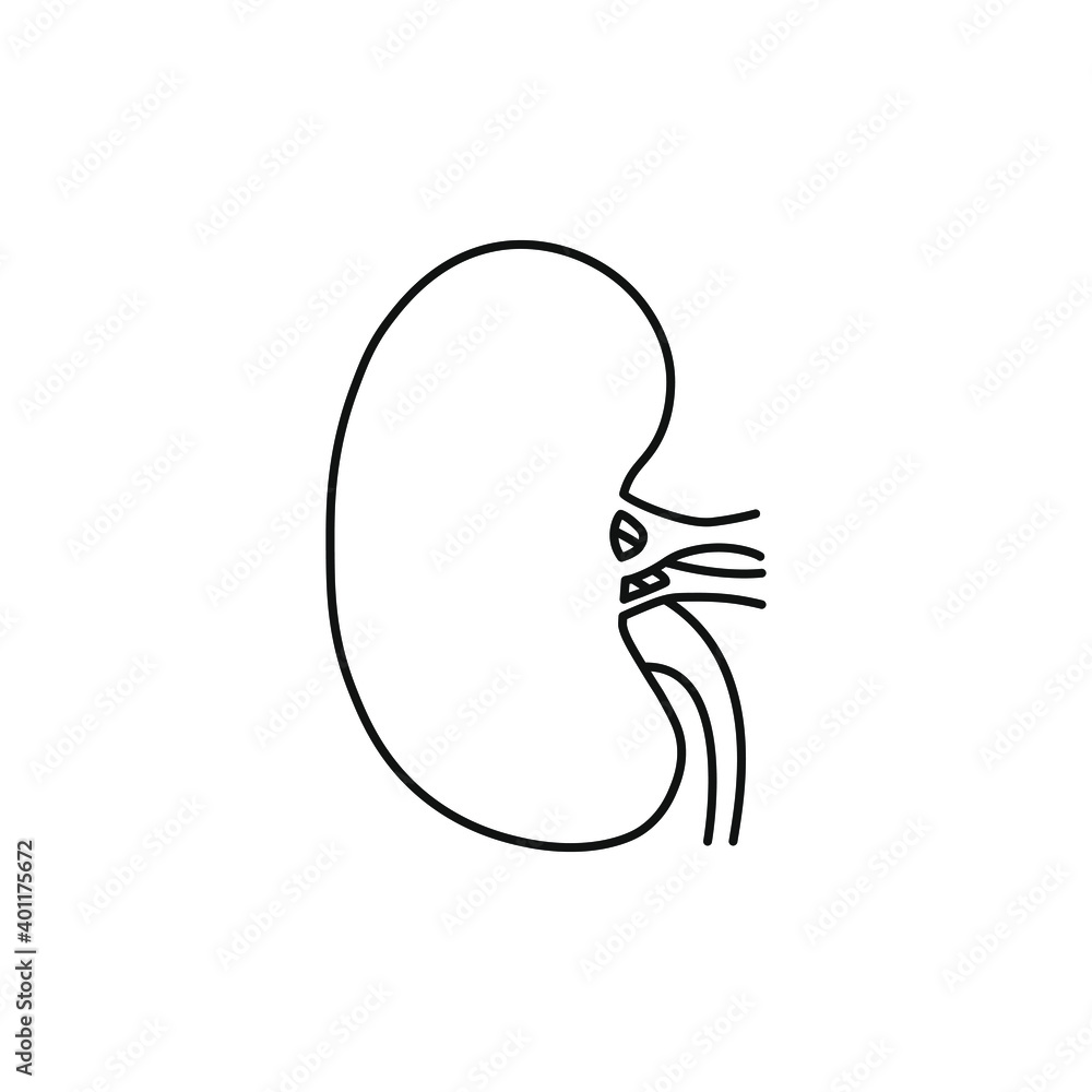 Obraz premium Kidney icon line style isolated on white background. Vector illustration