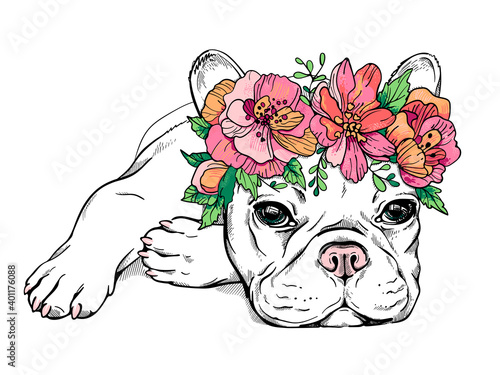 Cute french bulldog puppy in a flower wreath. Spring portrait of a dog. Stylish image for printing on any surface