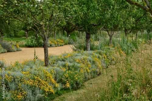 La Roche Guyon; France - june 20 2020 : the castle park photo