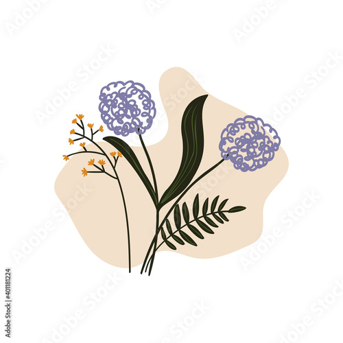 hand-drawn allium flowers vector illustration. botanical vector illustration.