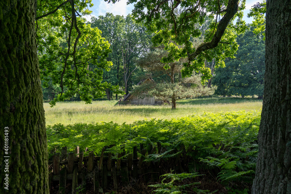 Characteristic stable for German moorland sheep with a straw roof  in the natural preserve Lueneburger Heide