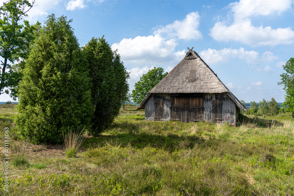 Characteristic stable for German moorland sheep with a straw roof  in the natural preserve Lueneburger Heide