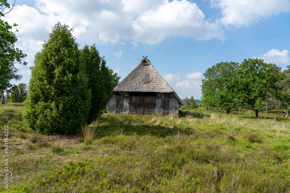 Characteristic stable for German moorland sheep with a straw roof in the natural preserve Lueneburger Heide Characteristic stable for German moorland sheep with a straw roof in the natural preserve Lueneburger Heide