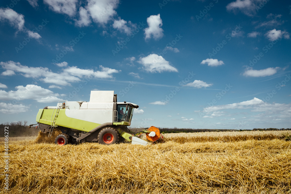 Combine harvester harvests ripe wheat. Concept of a rich harvest. Agriculture image Combine harvester harvests ripe wheat. Concept of a rich harvest. Agriculture image