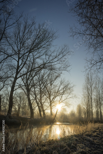 Dutch winter landscape