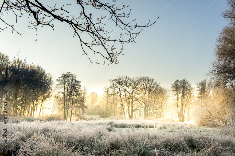 Obraz premium Dutch winter landscape