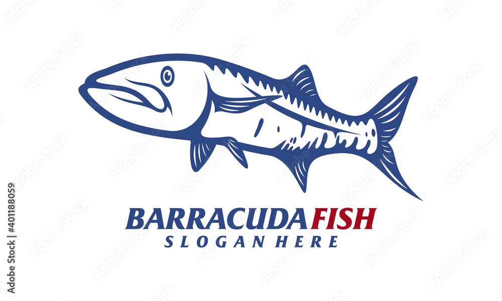 Barracuda fish design vector illustration, Creative Barracuda fish logo design concepts template, icon symbol Barracuda fish design vector illustration, Creative Barracuda fish logo design concepts template, icon symbol