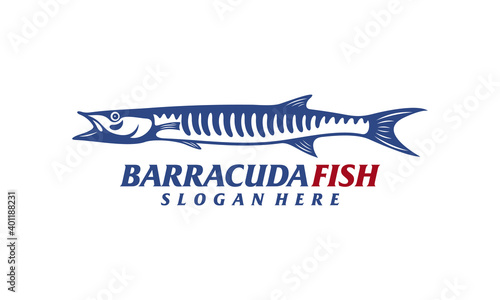 Barracuda fish design vector illustration, Creative Barracuda fish logo design concepts template, icon symbol