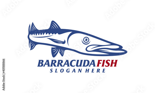 Barracuda fish design vector illustration  Creative Barracuda fish logo design concepts template  icon symbol
