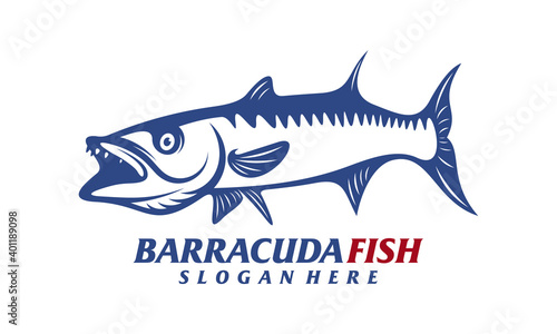 Barracuda fish design vector illustration, Creative Barracuda fish logo design concepts template, icon symbol