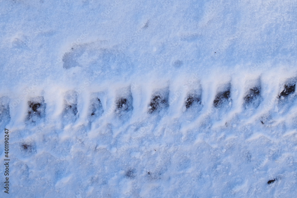 track from the SUV in the snow