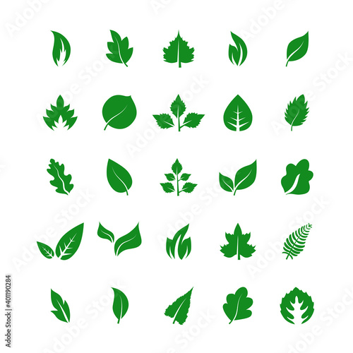 Leaf icon set isolated on white background. Collection of leaf icons for logo, poster, placard and wallpaper. Creative art concept. Leaf vector illustration