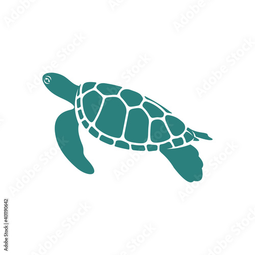 Turtle design vector illustration, Creative Turtle logo design concepts template, icon symbol