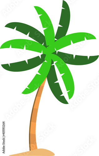 Palmera