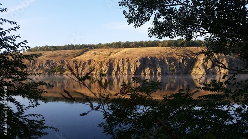 reflection of trees in the water