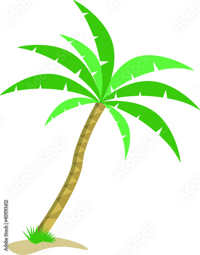 Palmera