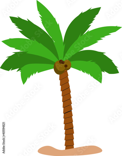 Palmera con coco