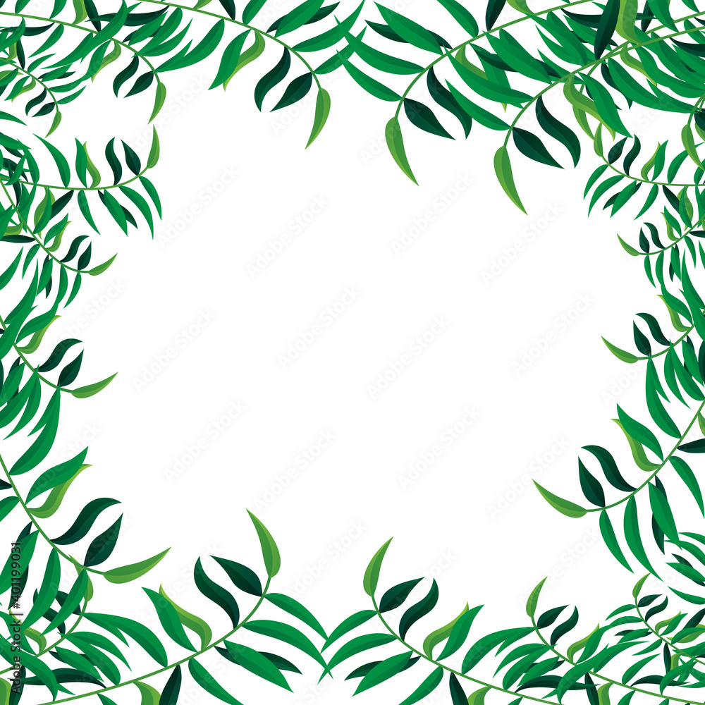Jungle leaves frame isolated on white background. For poster, placard, backdrop and banner. Useful for flyer, leaflet and wallpaper template. Creative art concept, leaves vector background