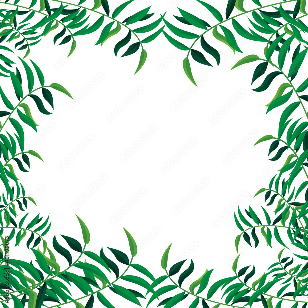 Jungle leaves frame isolated on white background. For poster, placard, backdrop and banner. Useful for flyer, leaflet and wallpaper template. Creative art concept, leaves vector background