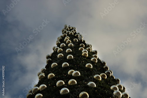 christmas tree on sky