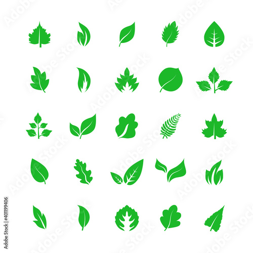 Leaf icon set isolated on white background. Collection of leaf icons for logo  poster  placard and wallpaper. Creative art concept. Leaf vector illustration
