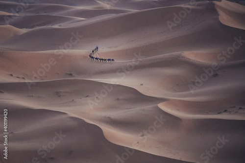 Hiking and camel rifing in the highest dunes of Erg Chebbi  Sahara desert  Morocco