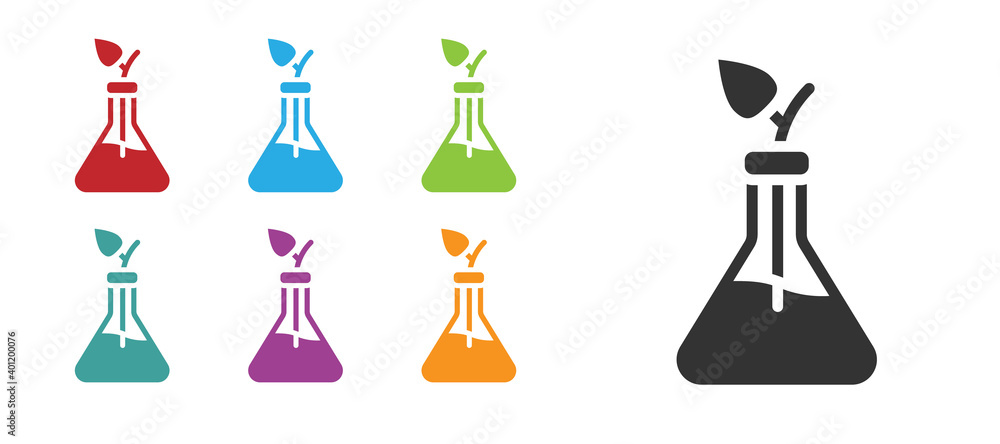 Black Plant breeding icon isolated on white background. Plants growing in the test tubes. Organic food ,agriculture and hydroponic. Set icons colorful. Vector. Black Plant breeding icon isolated on white background. Plants growing in the test tubes. Organic food ,agriculture and hydroponic. Set icons colorful. Vector.