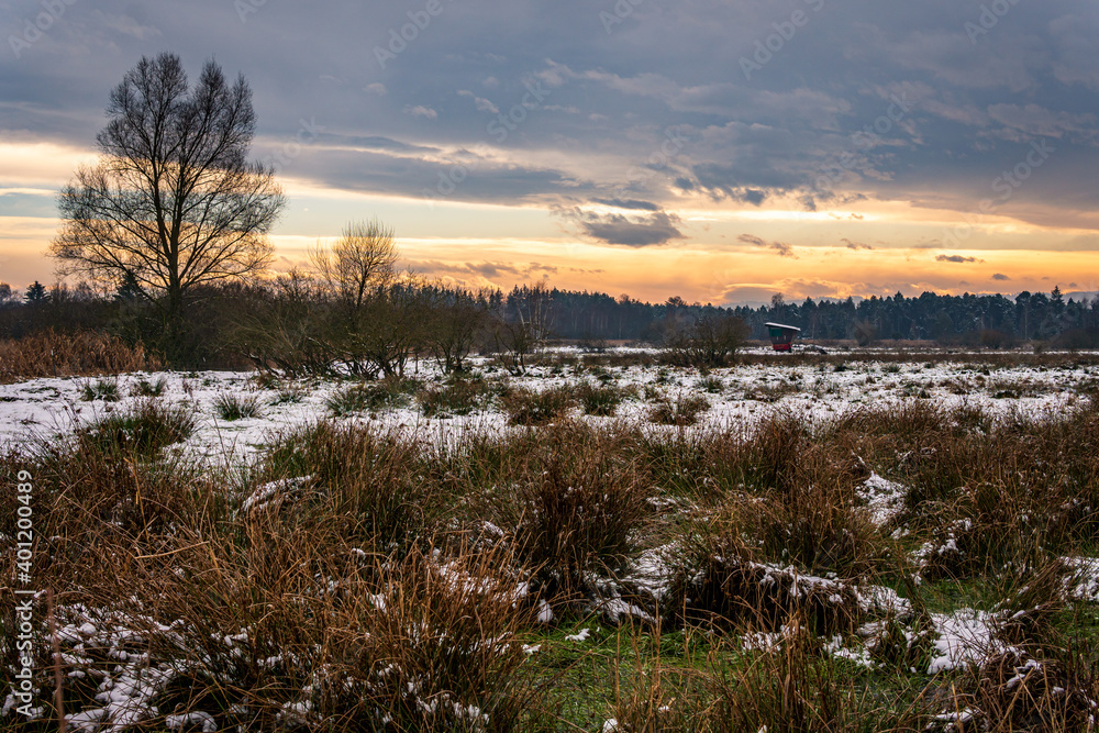 Snow-covered winter landscape in the Pfrunger Ried near Ostrach Snow-covered winter landscape in the Pfrunger Ried near Ostrach