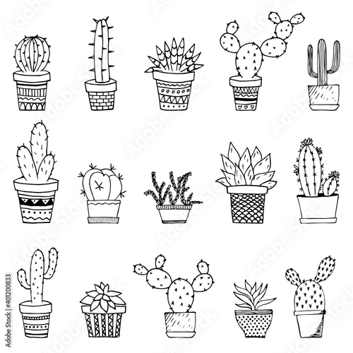 Cacti and succulents doodles illustration. Home plants in pots and cups.