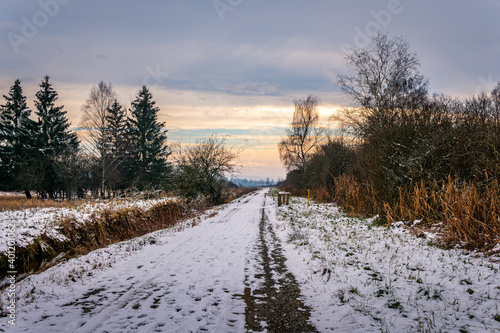 Snow-covered winter landscape in the Pfrunger Ried near Ostrach photo