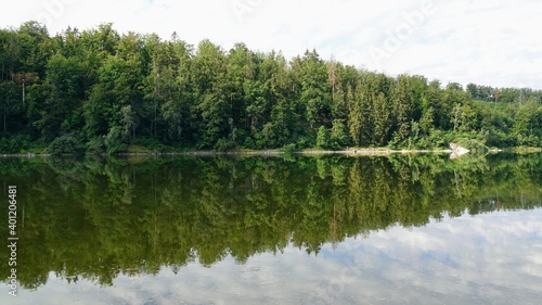 reflection of a coniferous tree in the water of a dam (summer)